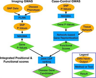 System-Level Analysis of Alzheimer’s Disease Prioritizes Candidate Genes for Neurodegeneration